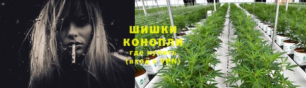 ПСИЛОЦИБИНОВЫЕ ГРИБЫ Бронницы