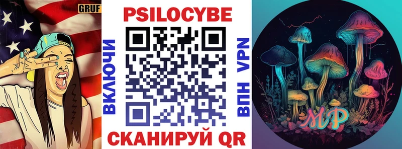 Галлюциногенные грибы Psilocybe  Купить закладки  Сусуман 