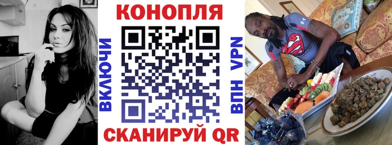 Конопля план  Купить  Сусуман 